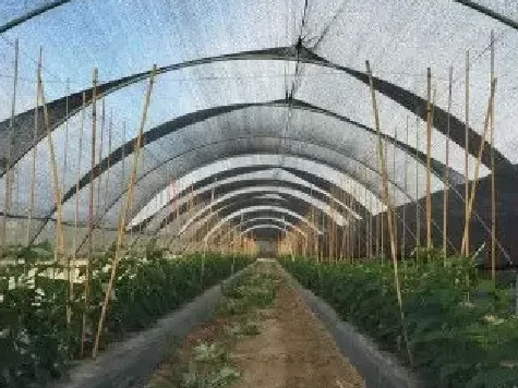 Plasa umbrire 2631ne agri 30, 34%, 30 gr/mp, neagra, 12.8 x 50 m - imagine 2