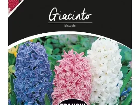 ZAMBILE MIXTURA 10 BULBI - imagine 1