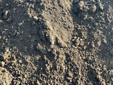 Pământ vegetal - imagine 1