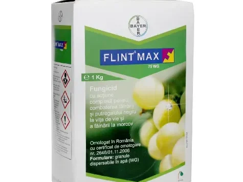 Flint max 75 wg 1 kg - imagine 1