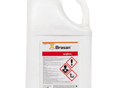 Erbicid - Brasan 5 l - imagine 1