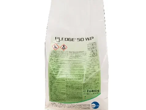 Pledge 50 WP 400 g - imagine 1