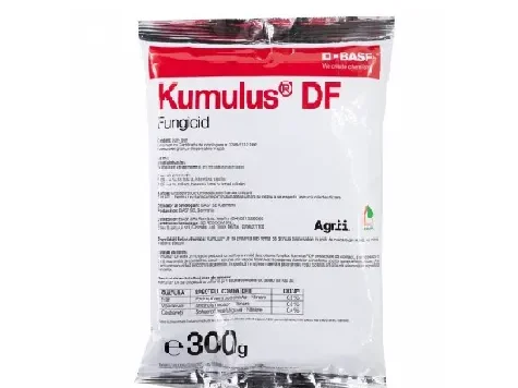 Fungicid Kumulus DF 300gr - imagine 1