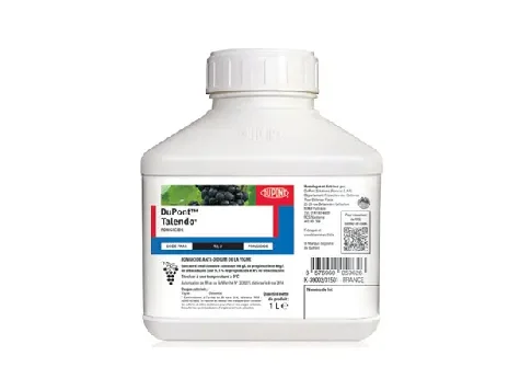 Talendo 1 l - imagine 1