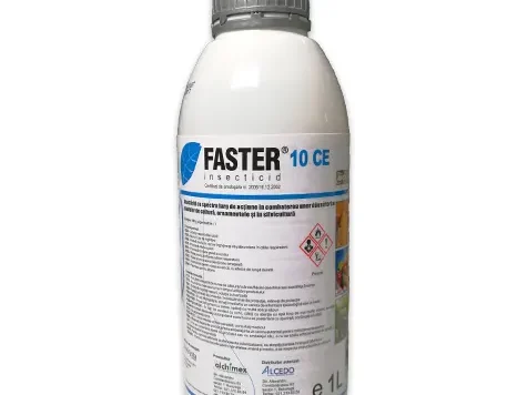 Faster 10 CE 1 l - imagine 1
