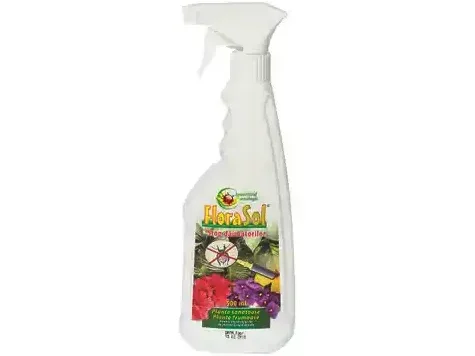 Spray insecticid cu pompa flora sol - imagine 1