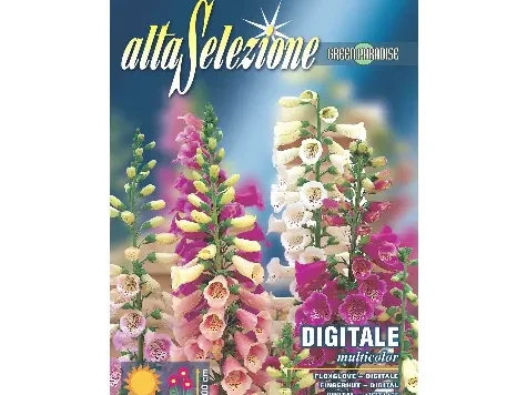 As degetel multicolor plic 1,5 g - imagine 1