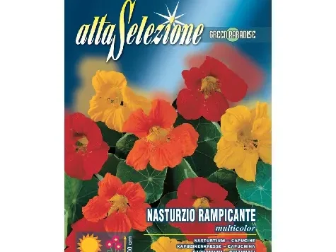 As flori - coltunas catarator multicolor plic 4 g - imagine 1