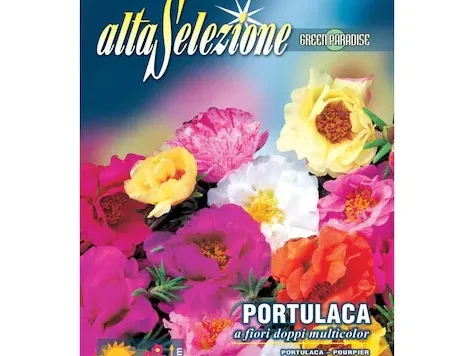 As flori - flori de piatra flori duble multicolor plic 0.4 g - imagine 1