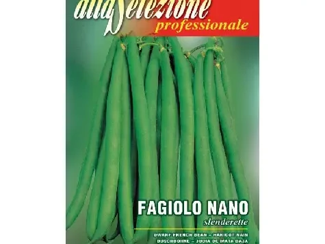 Fasole oloaga Slenderette - imagine 1