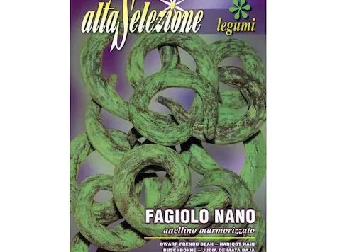 Fasole oloaga anellino marmorizzato - imagine 1