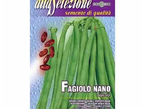 Fasole oloaga top crop - imagine 1