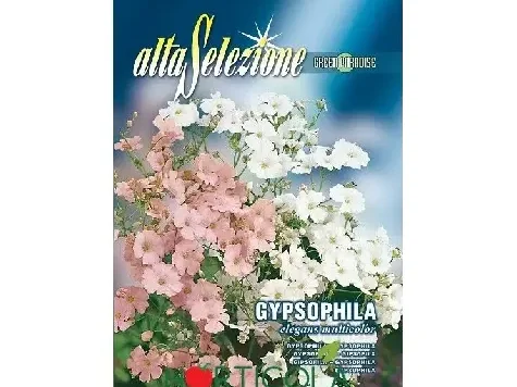 Floarea miresei eleganta multicolor plic 1,5 grame - imagine 1