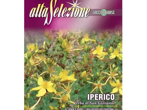 As iperico sunatoare - imagine 1