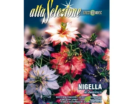 Cernusca de damasc(nigella) - imagine 1