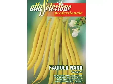 Fasole oloaga berggold 170 gr - imagine 1