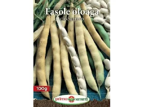 Fasole oloaga Cannellino - imagine 1