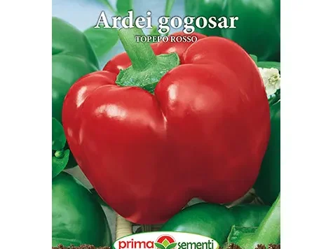 Semințe ardei gogoșar topepo rosso - imagine 1