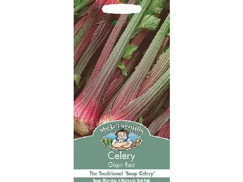 Seminte telina - Celery - Giant Red - imagine 1