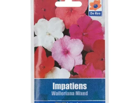 Impatiens walleriana mr fotherghills mixed f1 am - imagine 1