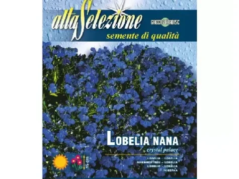 Lobelia erinus 10-pack - imagine 1