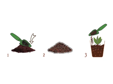 DR. SOIL Cărbune activ Biochar 1 LT - imagine 3