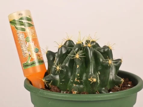 DR. SOIL Elixir pentru cactuși și suculente 32 ml - imagine 3