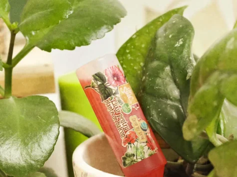 DR. SOIL Elixir pentru plante de balcon - imagine 2