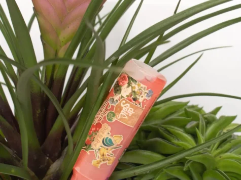 DR. SOIL elixir universal pentru legume și plante - imagine 3