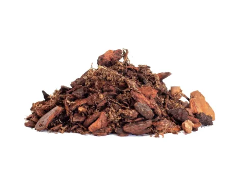 DR. SOIL Substrat pentru Cymbidium și Orhidee 1 LT - imagine 2