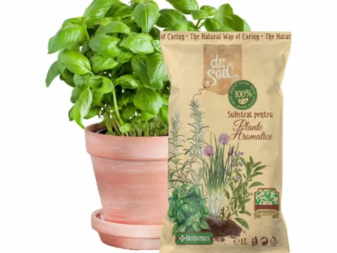 DR. SOIL Substrat pentru plante aromatice 1 LT - imagine 3