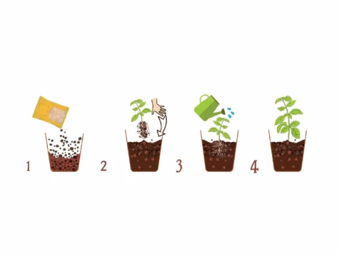 DR. SOIL Substrat pentru plante aromatice 1 LT - imagine 4