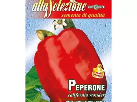 AS - Ardei - peperone california wonder - imagine 1