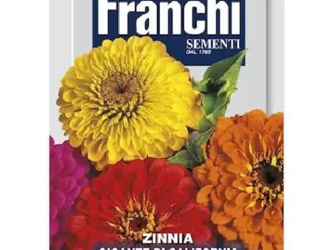 As - Cârciumăreasa gigantică de California multicolor - imagine 1