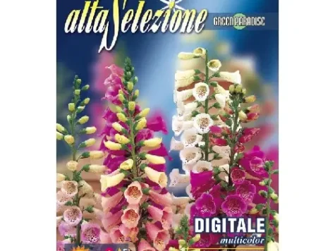 As - Degețel multicolor - imagine 1