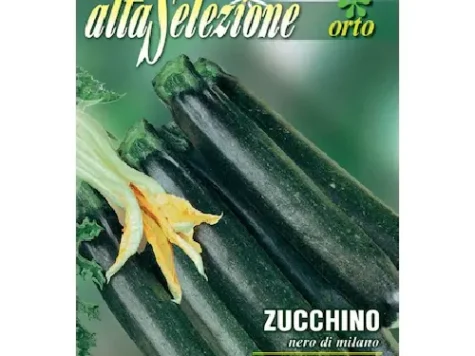 As - Dovlecel nero di milano - imagine 1