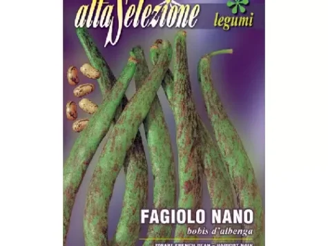 As - Fasole oloaga bobis d'albenga - imagine 1
