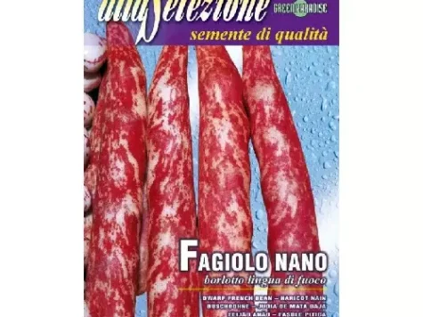 As - Fasole oloaga borlotto lingua di fuoco - imagine 1