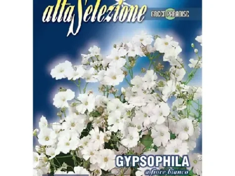 As - Floarea miresei flori albe - imagine 1