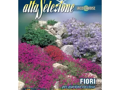 As - Flori pentru grădini pietroase - imagine 1