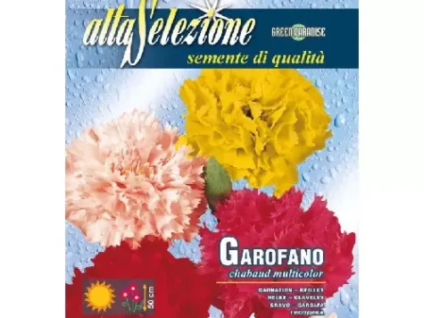 As - Garoafa multicolor - imagine 1