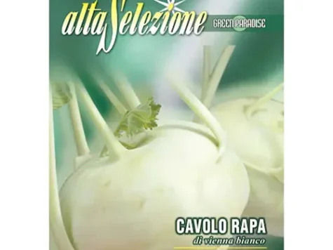 As - Gulii di vienna bianco - imagine 1