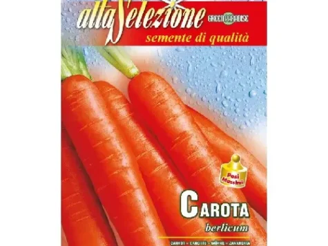 As - Morcovi berlicum - imagine 1