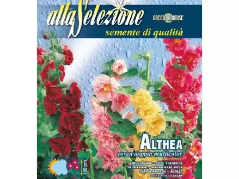 As - Nalba de gradina dubla multicolor - imagine 1