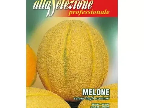 As - Pepene galben retato degli ortolani - imagine 1