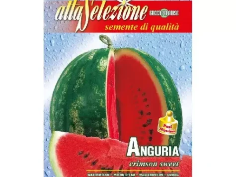 As - Pepene verde crimson sweet - imagine 1
