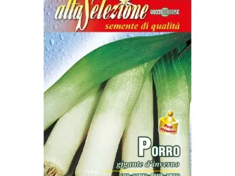 As - Praz gigante d'inverno - imagine 1