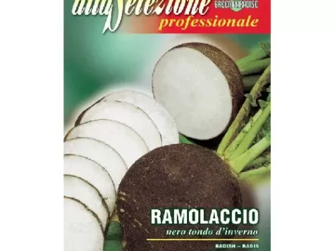 As - Ridichi negrenero tondo d'inverno - imagine 1