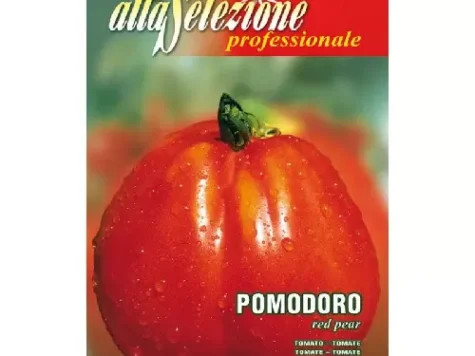 AS - Semințe de tomate Red Pear - imagine 1