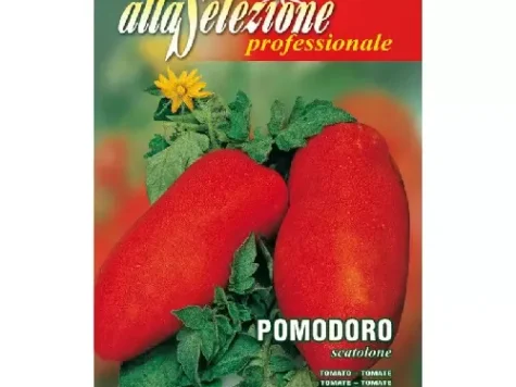 As - Tomate scatolone - imagine 1